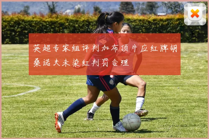 英超专家组评判加布顶牛应红牌胡桑诺夫未染红判罚合理